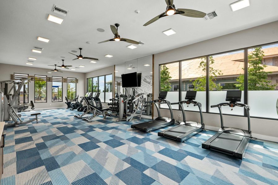 Fitness Center | Belterra Clubhouse:Fitness Center | Belterra Clubhouse