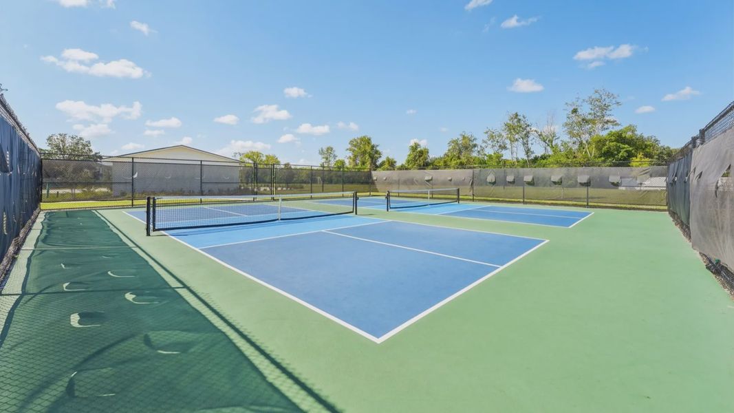 The Pickleball Courts