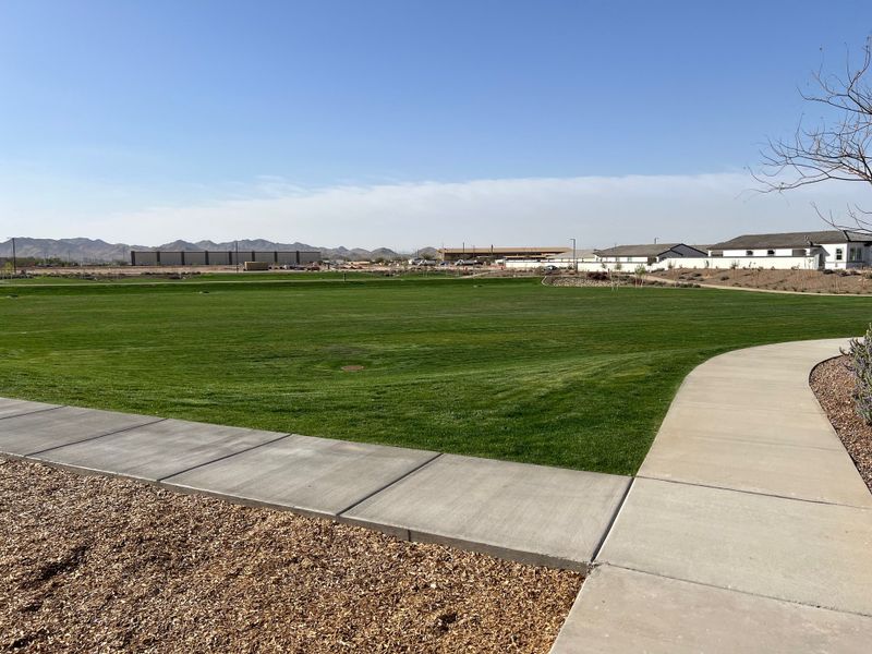 A scenic green park in Avion: Arbor by Lennar, nestled in Goodyear, AZ, with pathways and mountain views in the distance.