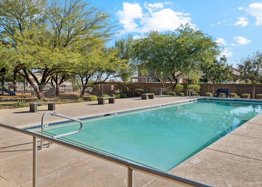 A swimming pool with trees and a fence around it. A swimming pool with trees and a fence around it.