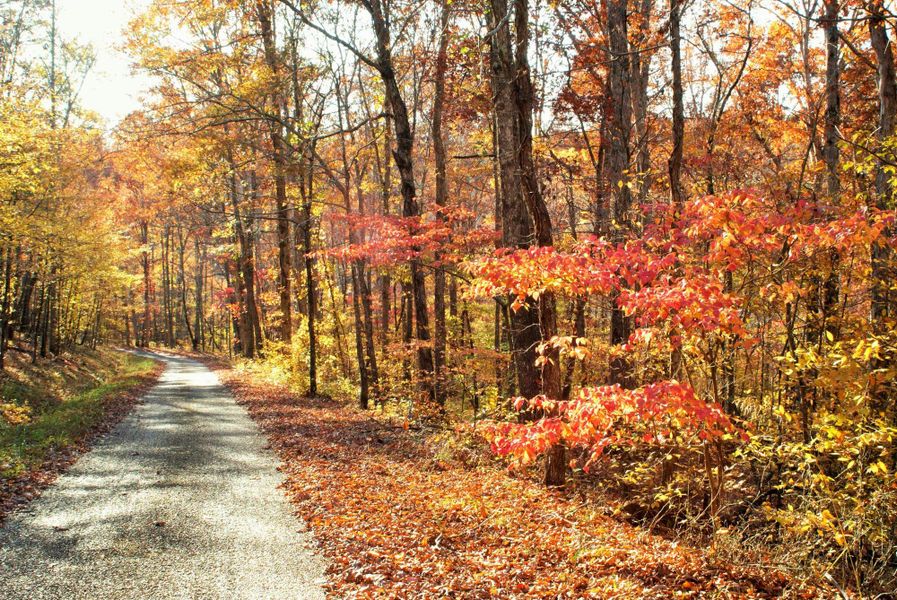 Natural surroundings and green spaces near Orrinshire in Fairview, TN (Image 21). Natural surroundings and green spaces near Orrinshire in Fairview, TN (Image 21).