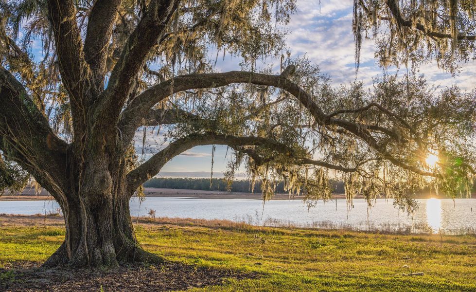 Natural surroundings and green spaces near West Hill Estates in Dade City, FL (Image 24). Natural surroundings and green spaces near West Hill Estates in Dade City, FL (Image 24).