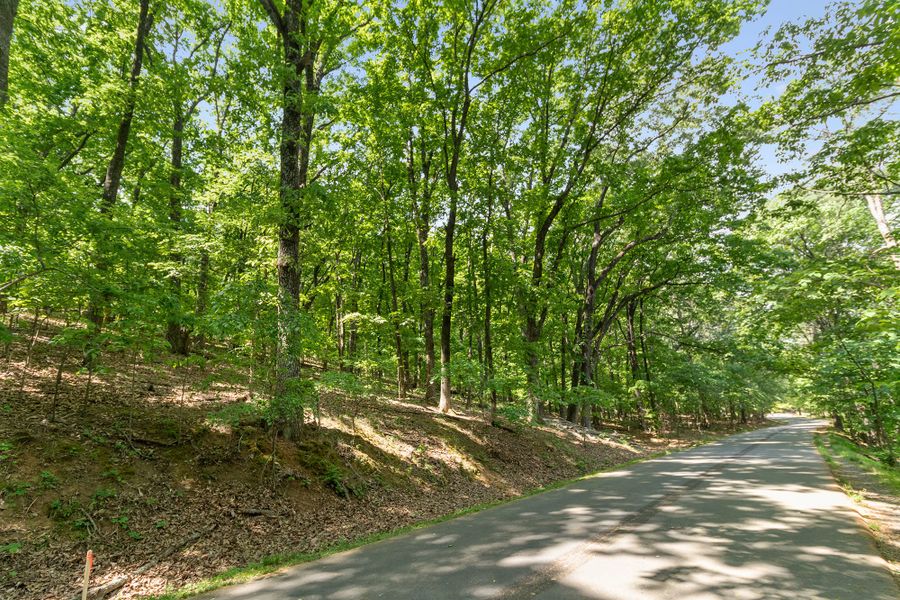 Natural surroundings and green spaces near Ellis in Marietta, GA (Image 58).