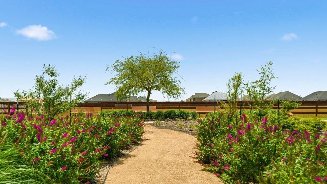 Natural surroundings and green spaces near Sunterra Lakes in Brookshire, TX (Image 30). Natural surroundings and green spaces near Sunterra Lakes in Brookshire, TX (Image 30).
