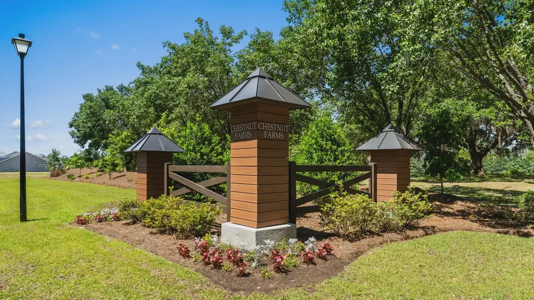 Entrance to the Chestnut Farms community in Longs, SC, featuring signage and landscaping (Image 2). Entrance to the Chestnut Farms community in Longs, SC, featuring signage and landscaping (Image 2).