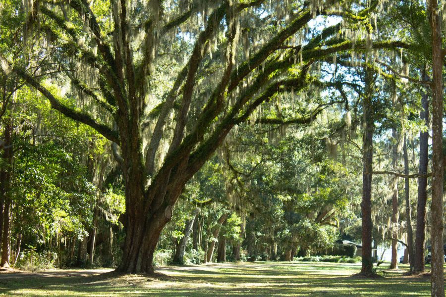 Front exterior of a home in the Fleming Estates community, located in Fleming Island, FL (Image 10).