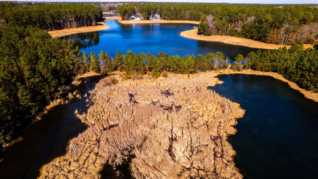 Beautiful Nature to Explore at The Altamaha Heritage Preserve Beautiful Nature to Explore at The Altamaha Heritage Preserve