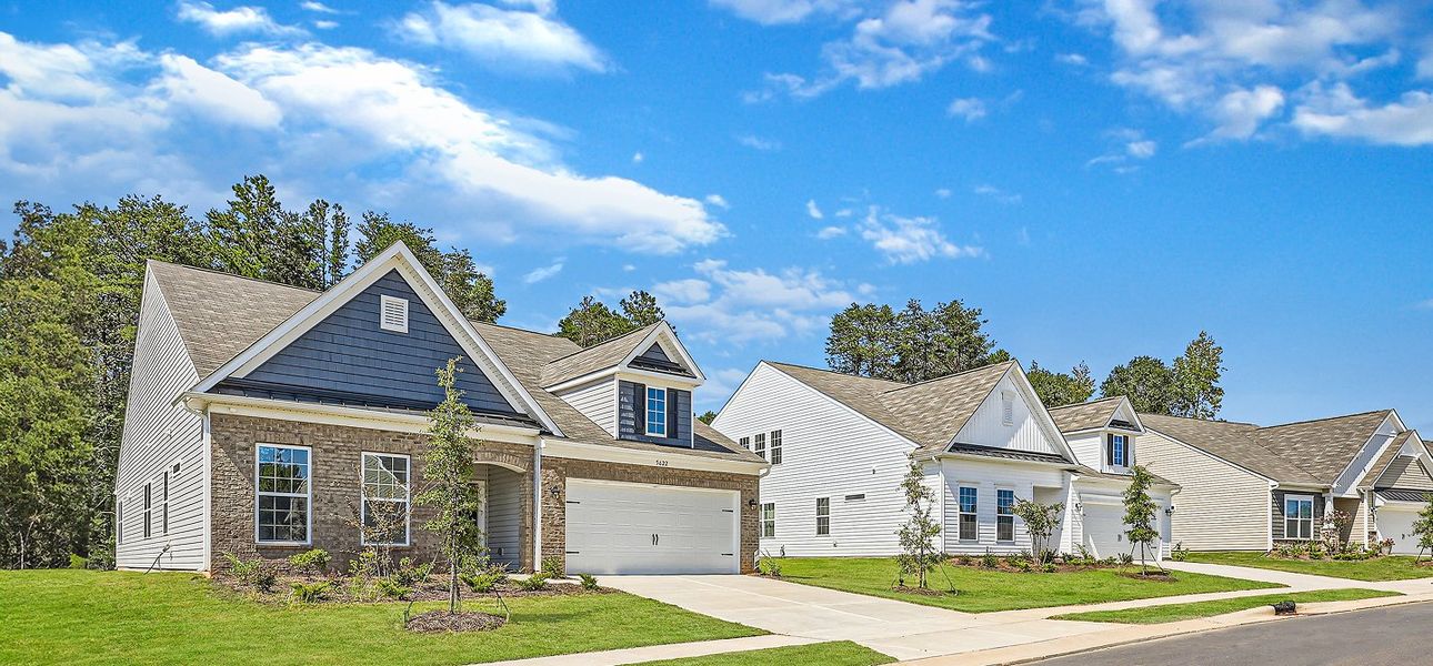 Meadows Streetscape 11of10 042325 Meadows Streetscape 11of10 042325