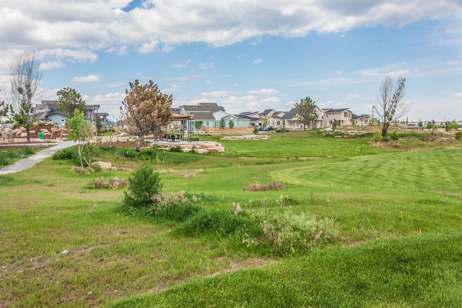 Image 31 of the Trailside community in Timnath, CO.