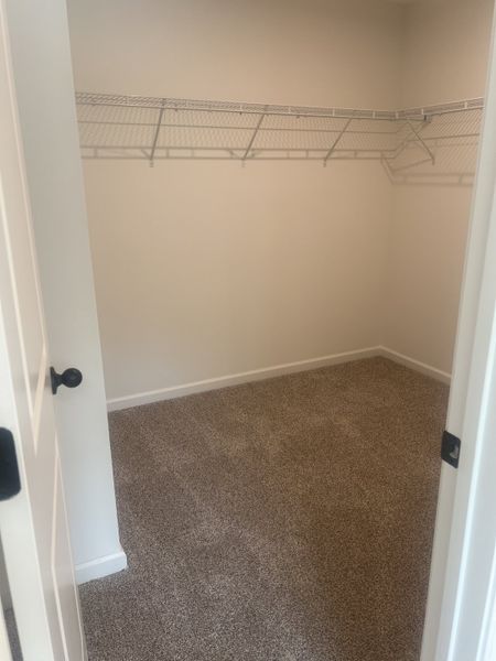 A spacious walk-in closet with plush carpeting and wire shelving for organized storage. Ideal for keeping your wardrobe neat. A spacious walk-in closet with plush carpeting and wire shelving for organized storage. Ideal for keeping your wardrobe neat.