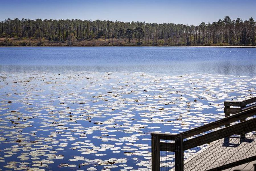 Lake Louisa Park offers over 4,500 acres with beautiful lakes, rolling hills, & a scenic landscape Lake Louisa Park offers over 4,500 acres with beautiful lakes, rolling hills, & a scenic landscape