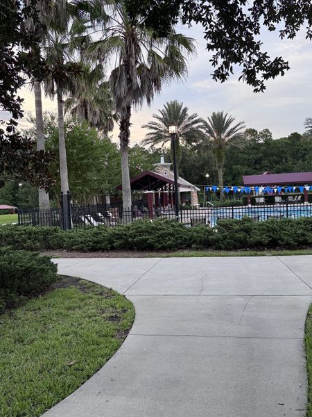 A lush community space with palm trees and a pool at Shadow Crest at Rolling Hills by Adams Homes (Green Cove Springs, FL).