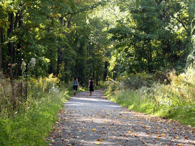 Image 45 of the Holly Ridge community in Greenville, SC.