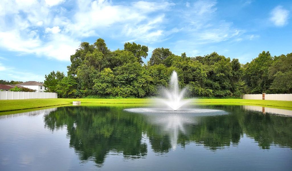 Pond 2 at Forest Crest