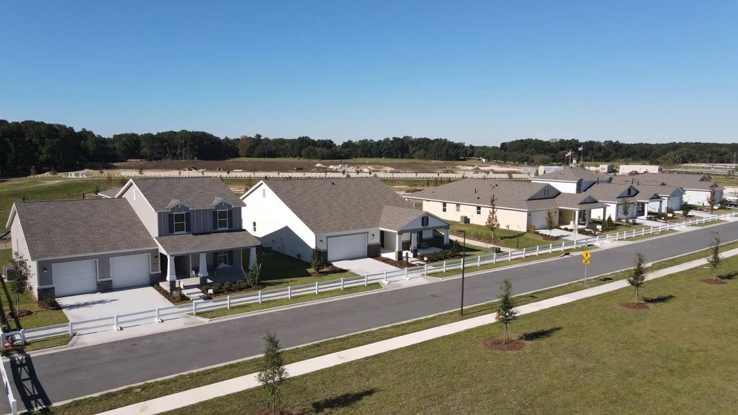Street view of homes within the Calesa Township master-planned community in Ocala, FL (Image 8).