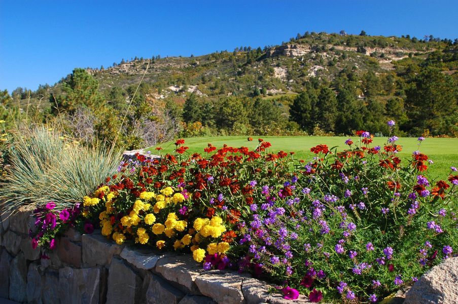 Natural surroundings and green spaces near The Summit at Castle Pines in Castle Pines, CO (Image 46).