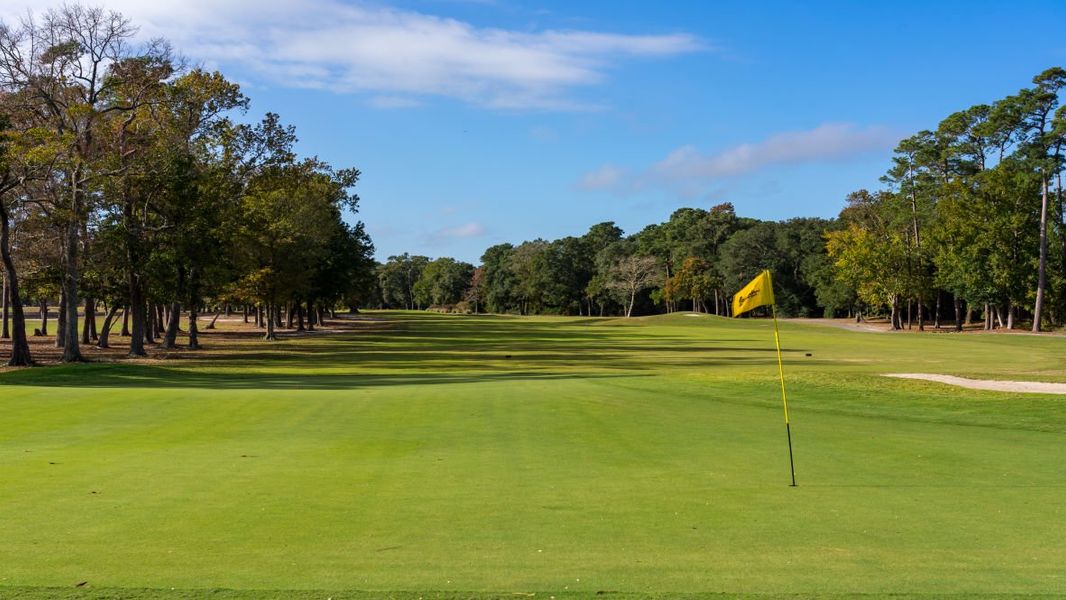 Image 29 of the Auberon Woods community in Conway, SC.