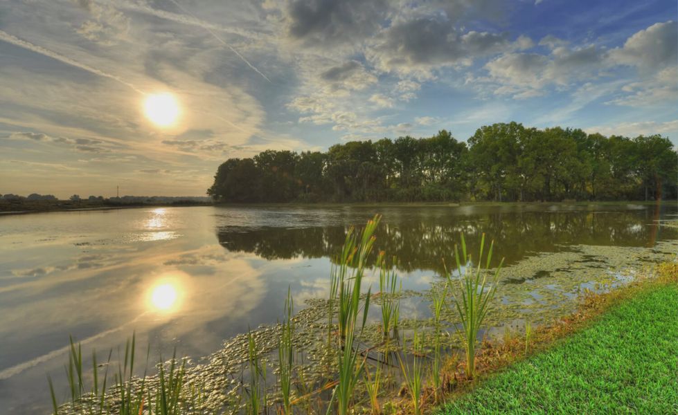 Natural surroundings and green spaces near Persimmon Park in Wesley Chapel, FL (Image 19). Natural surroundings and green spaces near Persimmon Park in Wesley Chapel, FL (Image 19).