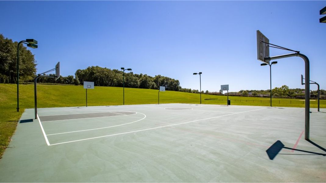 Basketball court