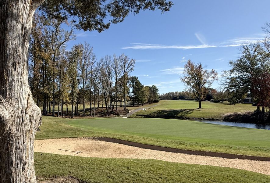 Image 20 of the Meece community in Easley, SC.