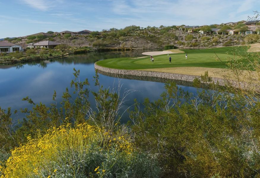 Golf Wickenburg Ranch - 4 of 25 Golf Wickenburg Ranch - 4 of 25
