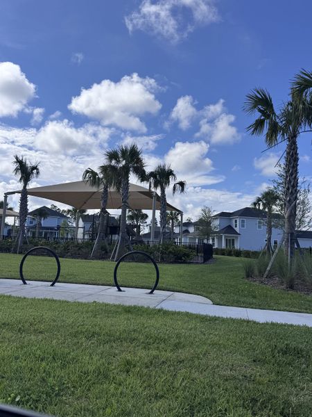 Scenic community park with palm trees in Crosswinds at Nocatee by Riverside Homes (Ponte Vedra Beach, FL).