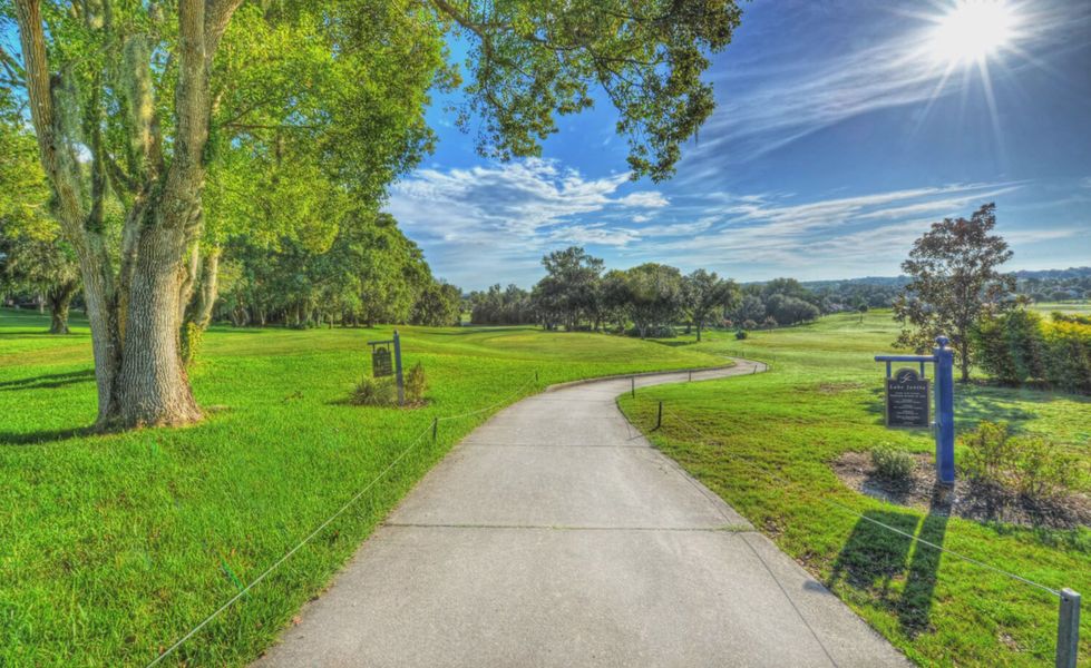Natural surroundings and green spaces near Lake Jovita in Dade City, FL (Image 11). Natural surroundings and green spaces near Lake Jovita in Dade City, FL (Image 11).