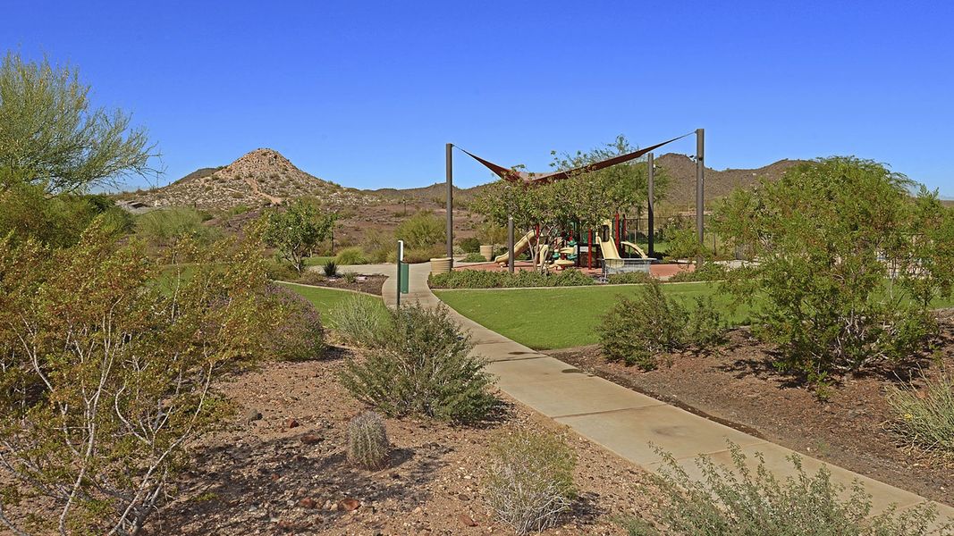 Community amenity available to residents of Saguaro Hills at Vistancia in Peoria (Image 2). Community amenity available to residents of Saguaro Hills at Vistancia in Peoria (Image 2).