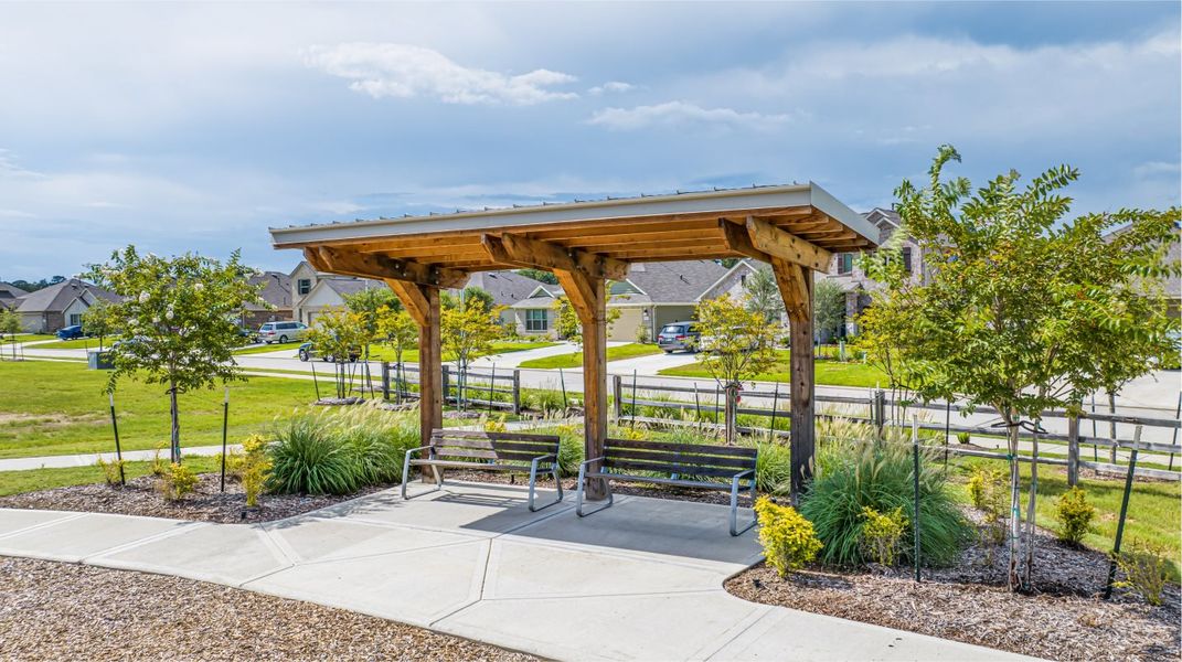 Pinewood at Grand Texas