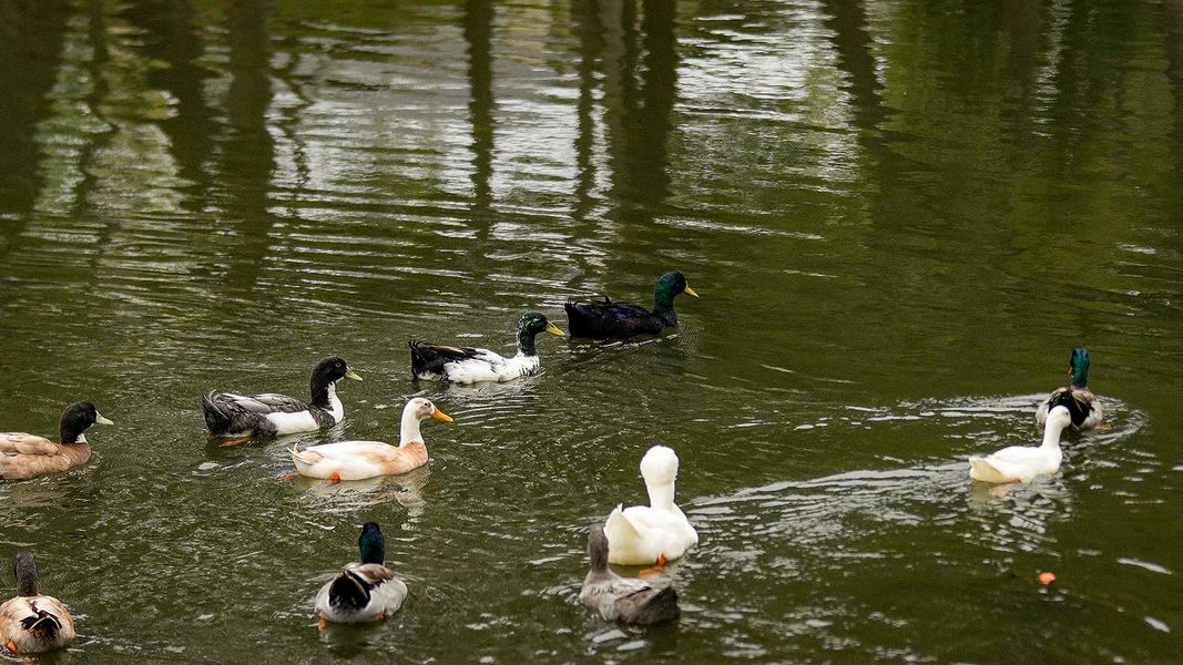 Image 41 of the Clear Creek community in Round Rock, TX.