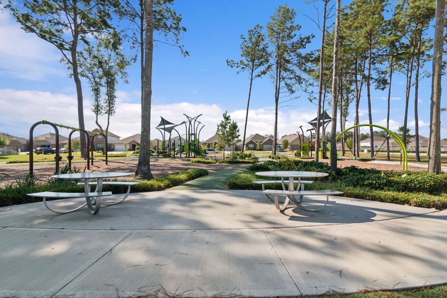 Playground Playground