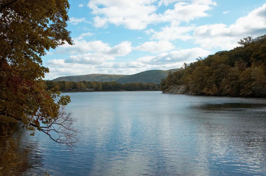 Lake and Landscape Lake and Landscape