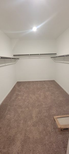 A spacious walk-in closet with plush carpeting, sleek shelving, and bright lighting.