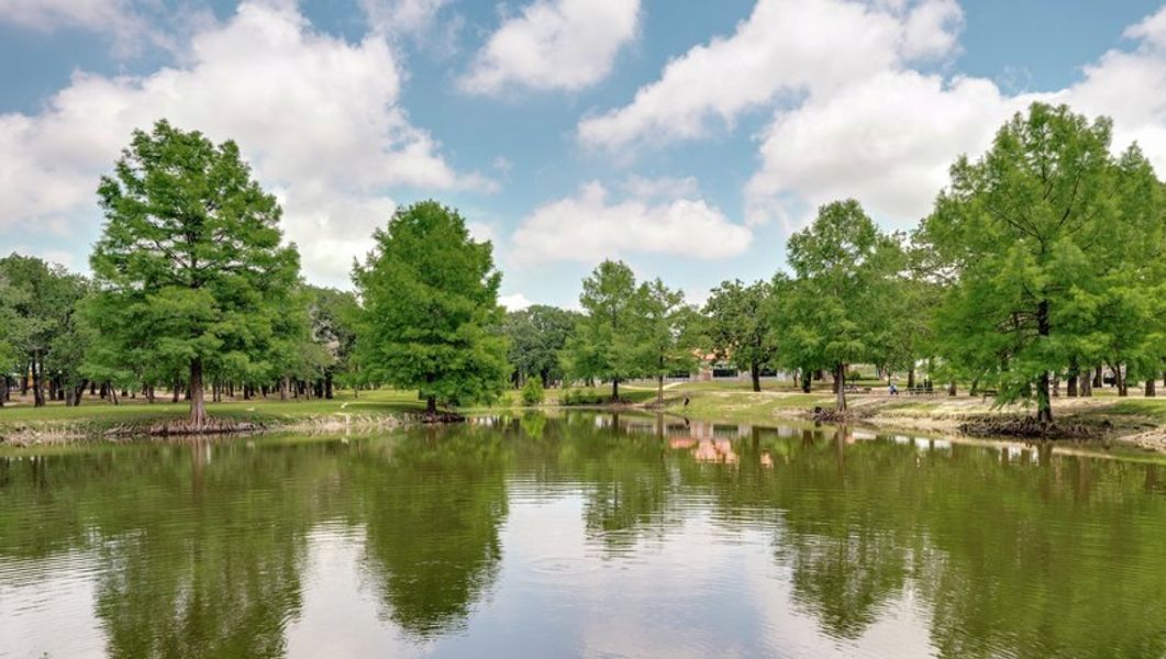 Natural surroundings and green spaces near Edmonds Ranch in Seagoville, TX (Image 5).