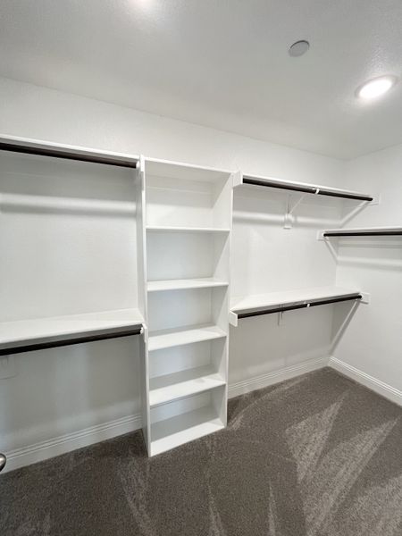 A spacious walk-in closet with sleek white shelving, ample hanging space, and plush carpet flooring. A spacious walk-in closet with sleek white shelving, ample hanging space, and plush carpet flooring.