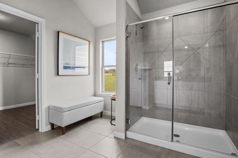 Owner's Bathroom