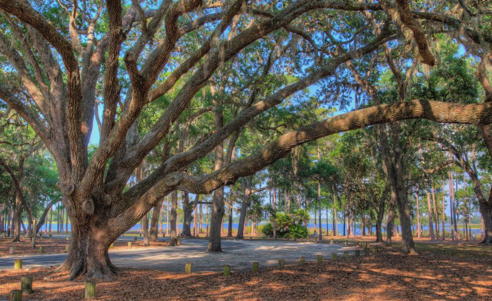Natural surroundings and green spaces near Live Oak Estates in Orlando, FL (Image 4). Natural surroundings and green spaces near Live Oak Estates in Orlando, FL (Image 4).
