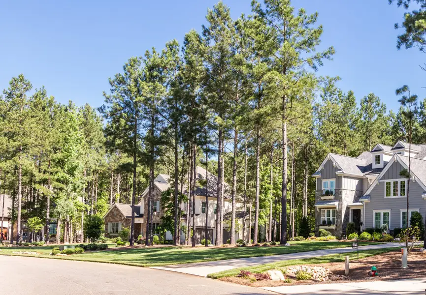 Image 26 of the Riverchase Estates community in Lancaster, SC.