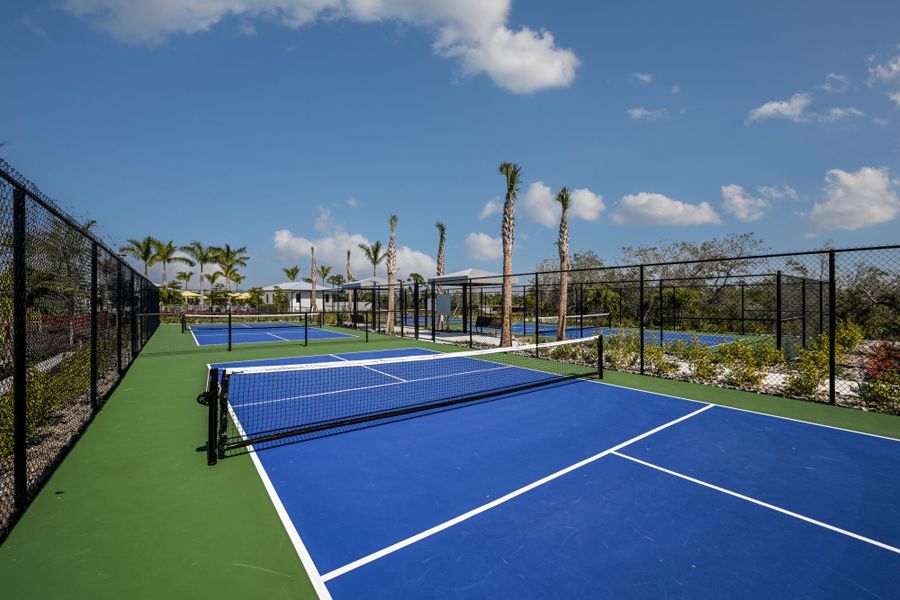Pickleball courts