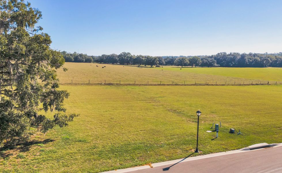 Natural surroundings and green spaces near West Hill Estates in Dade City, FL (Image 23).