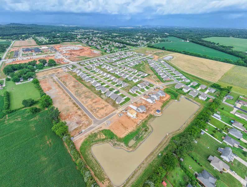 New Phase NOW SELLING!