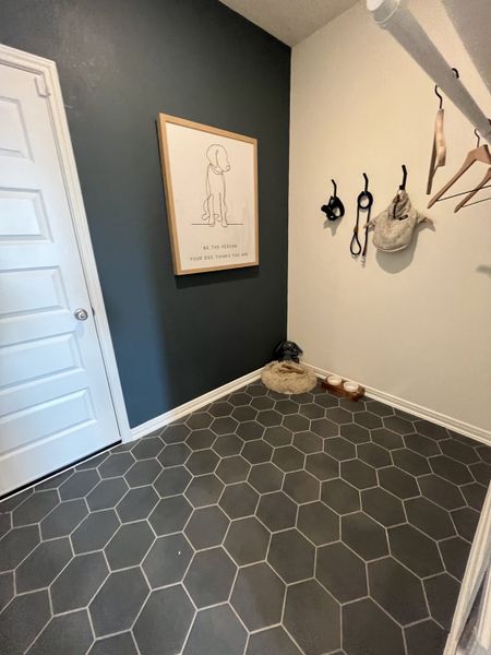 A chic mudroom with hexagonal tiles, pet accessories, and a playful dog-themed wall art for a cozy entrance.