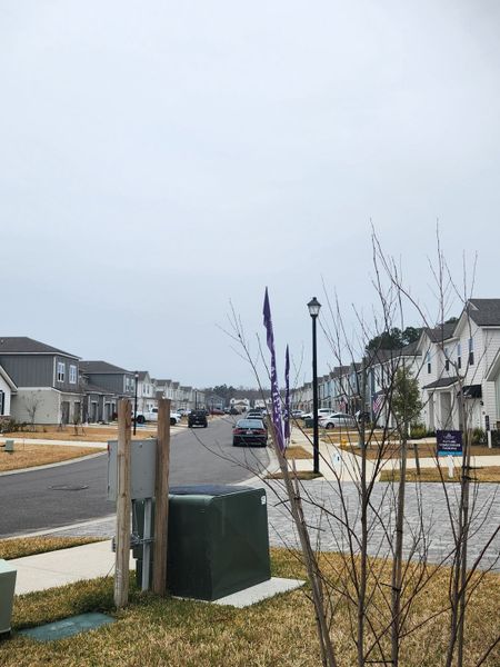 A serene neighborhood street in Magnolia Series at The Landings at Pecan Park by Century Communities (Jacksonville, FL).