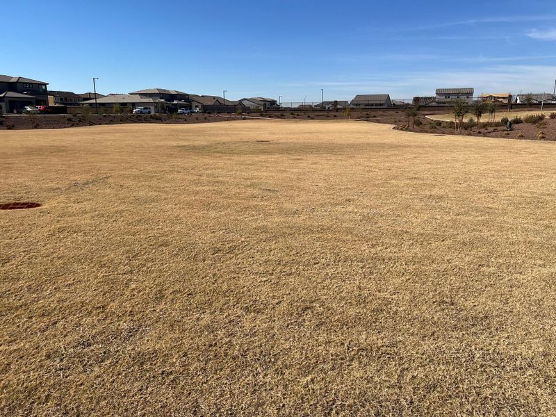 A serene open field with distant homes in The Grove at El Cidro by William Ryan Homes (Goodyear, AZ).