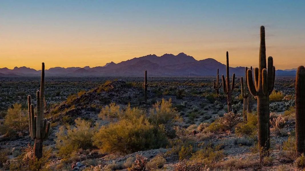Image 8 of the Teravalis master-planned community in Buckeye, AZ. Image 8 of the Teravalis master-planned community in Buckeye, AZ.