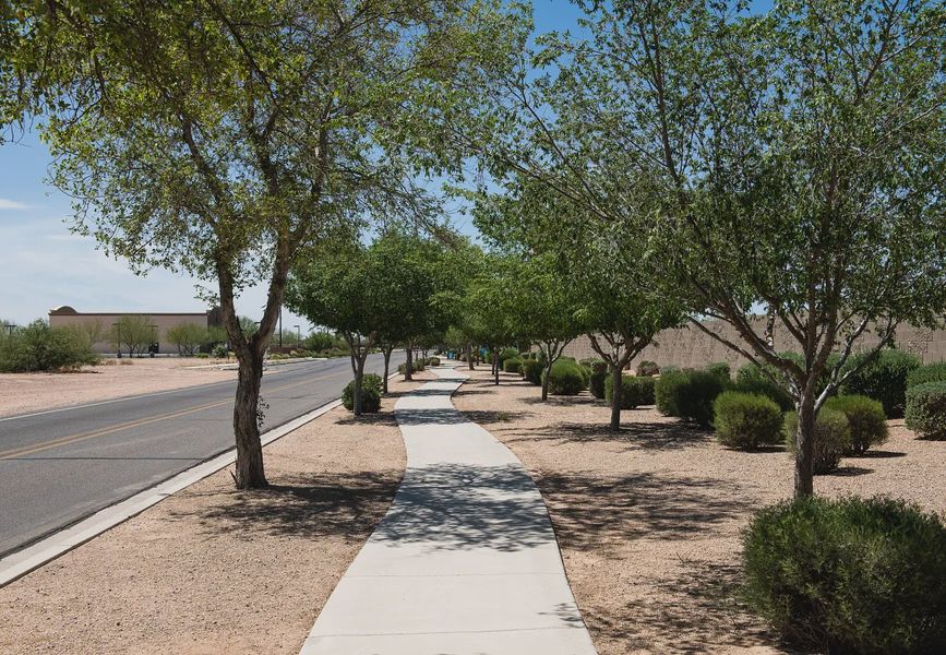 Natural surroundings and green spaces near Magic Ranch in Florence, AZ (Image 27). Natural surroundings and green spaces near Magic Ranch in Florence, AZ (Image 27).
