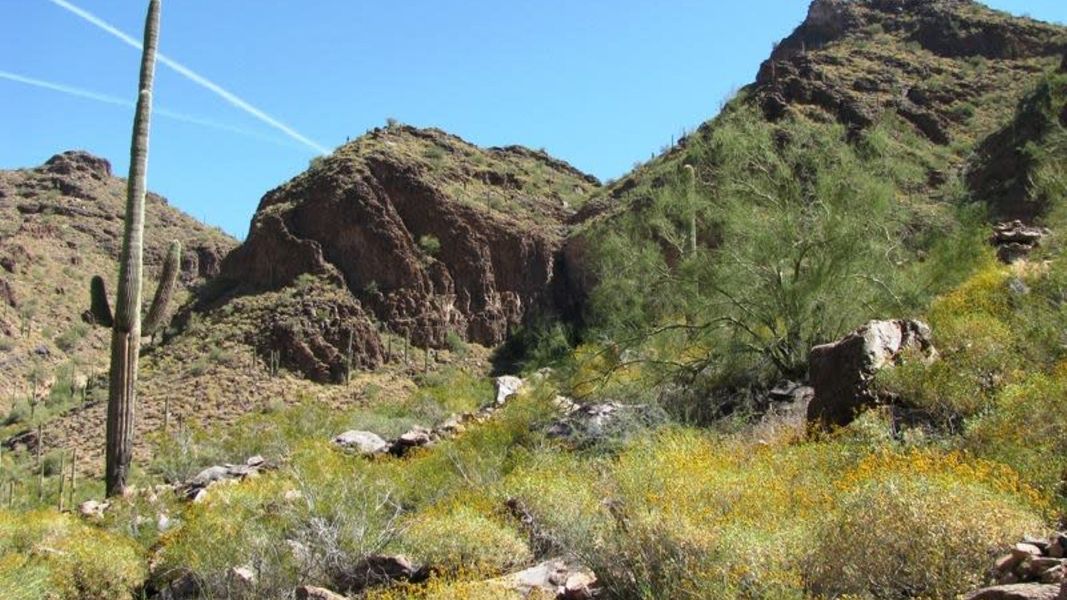 San Tan Mountain Regional Park, AZ