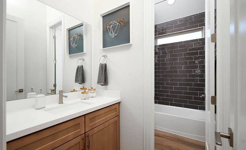 Image 11 of the Homestead community in Leander, TX.