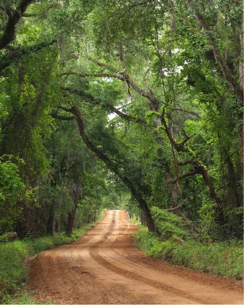 Image 8 of the GreyHawk: GreyHawk 60' Collection community in Middleburg, FL. Image 8 of the GreyHawk: GreyHawk 60' Collection community in Middleburg, FL.
