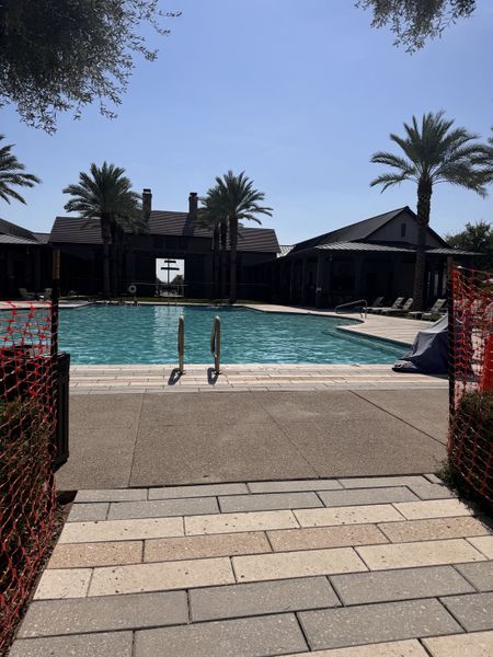 A luxurious pool with palm trees and elegant surroundings in Mystic Discovery Collection by Taylor Morrison (Peoria, AZ).